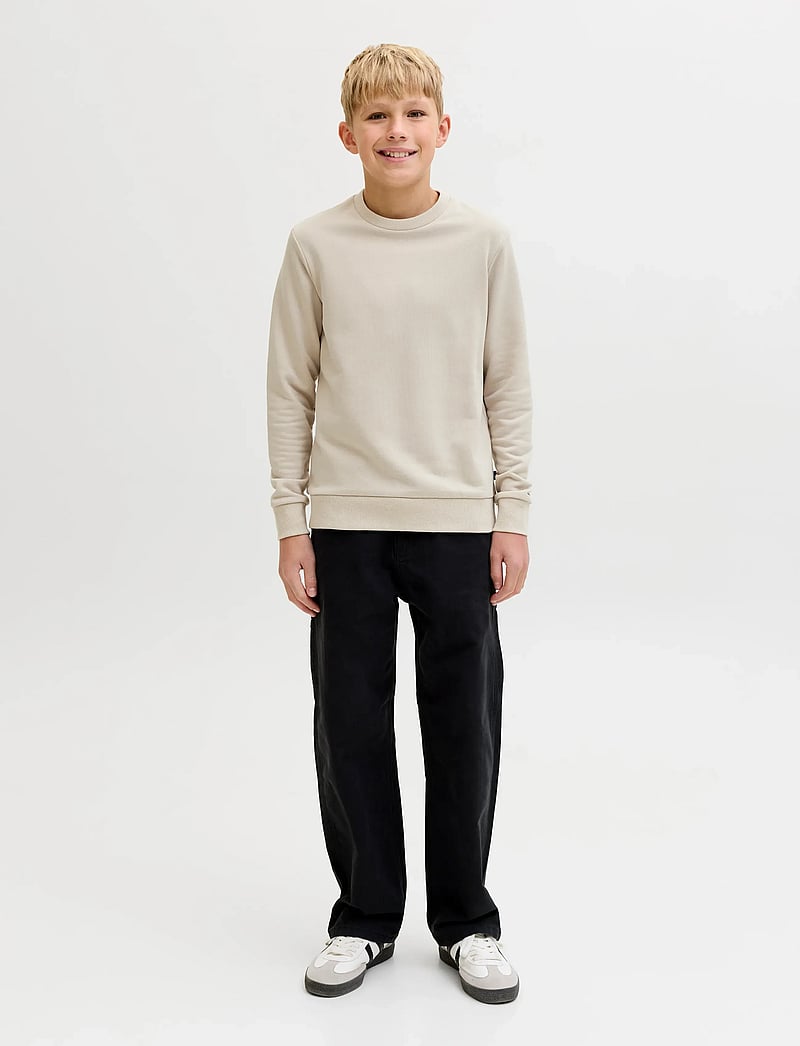 Jack & Jones - JJEBRADLEY SWEAT CREW NOOS JNR - dressipluusid - moonbeam - 4