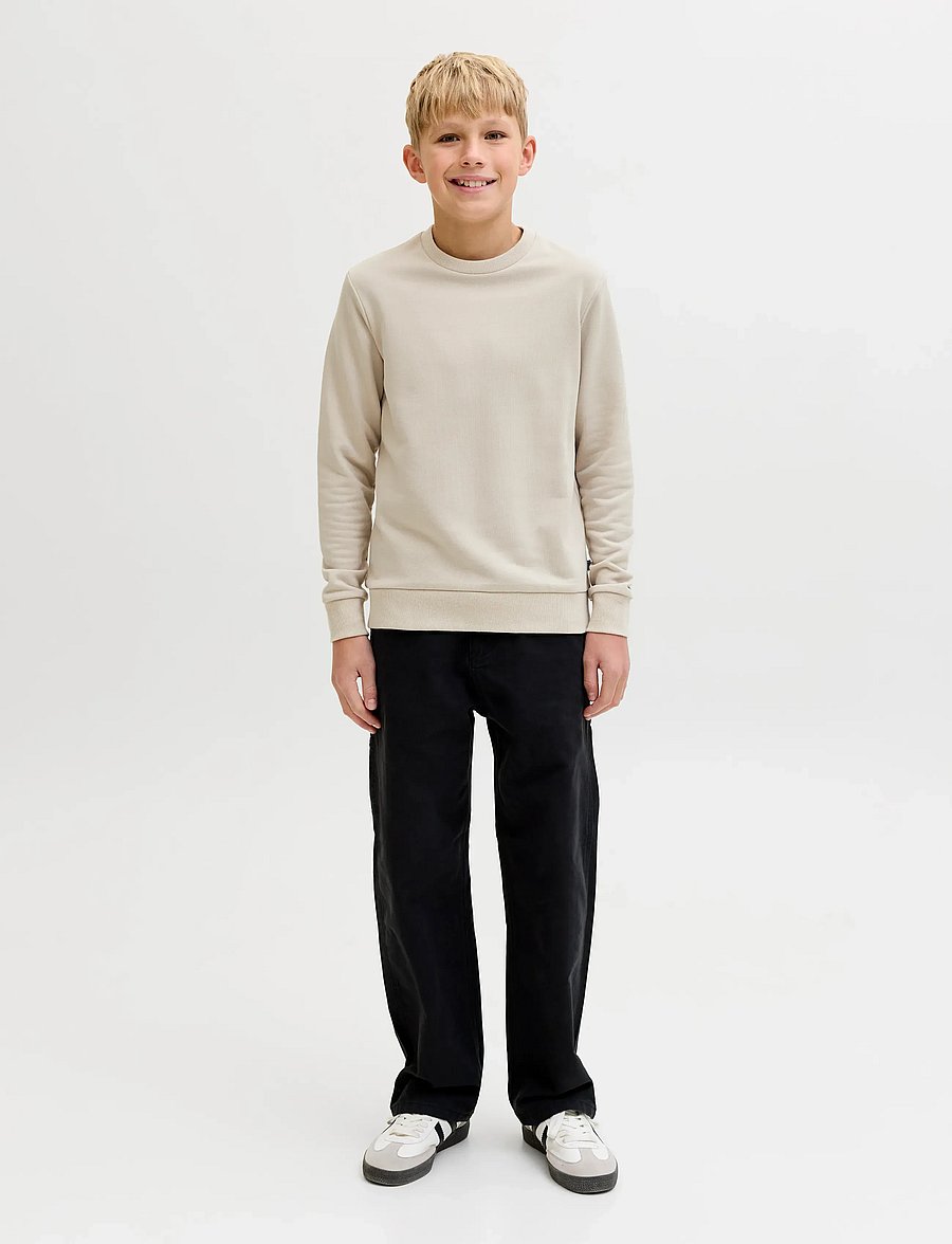 Jack & Jones - JJEBRADLEY SWEAT CREW NOOS JNR - sweatshirts - moonbeam - 4