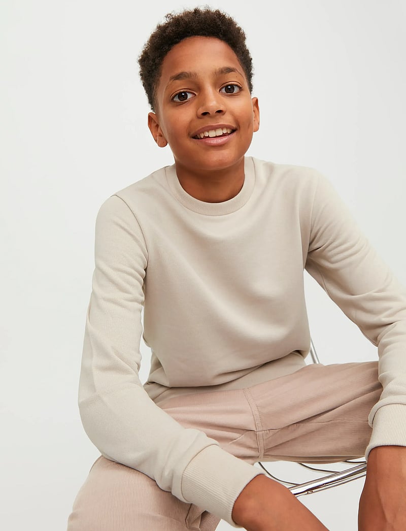 Jack & Jones - JJEBRADLEY SWEAT CREW NOOS JNR - dressipluusid - moonbeam - 5