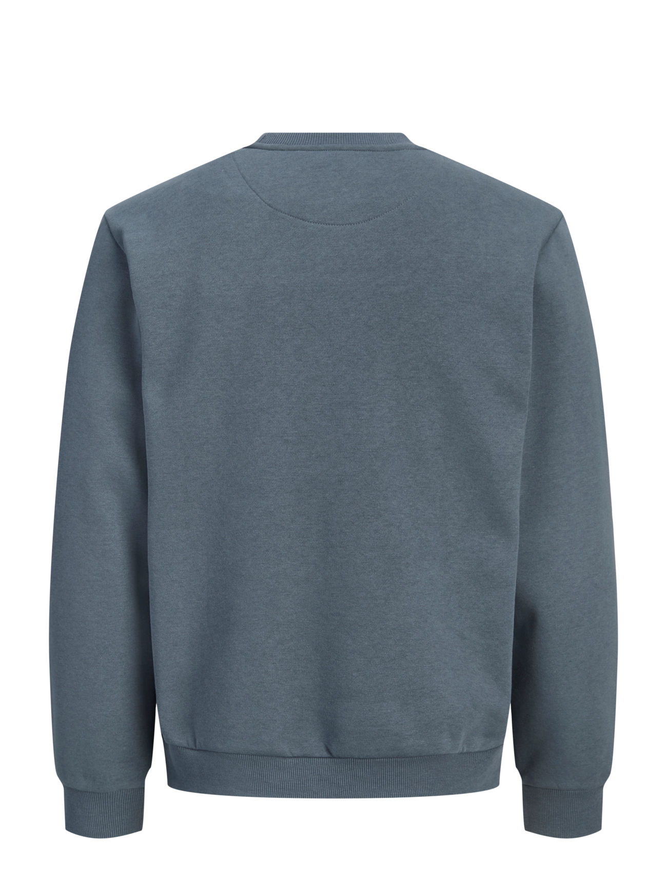 Jack & Jones - JJEBRADLEY SWEAT CREW NOOS JNR - sweatshirts - turbulence - 2