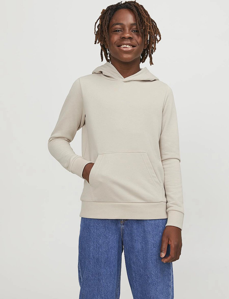 Jack & Jones - JJEBRADLEY SWEAT HOOD NOOS JNR - hættetrøjer - moonbeam - 0