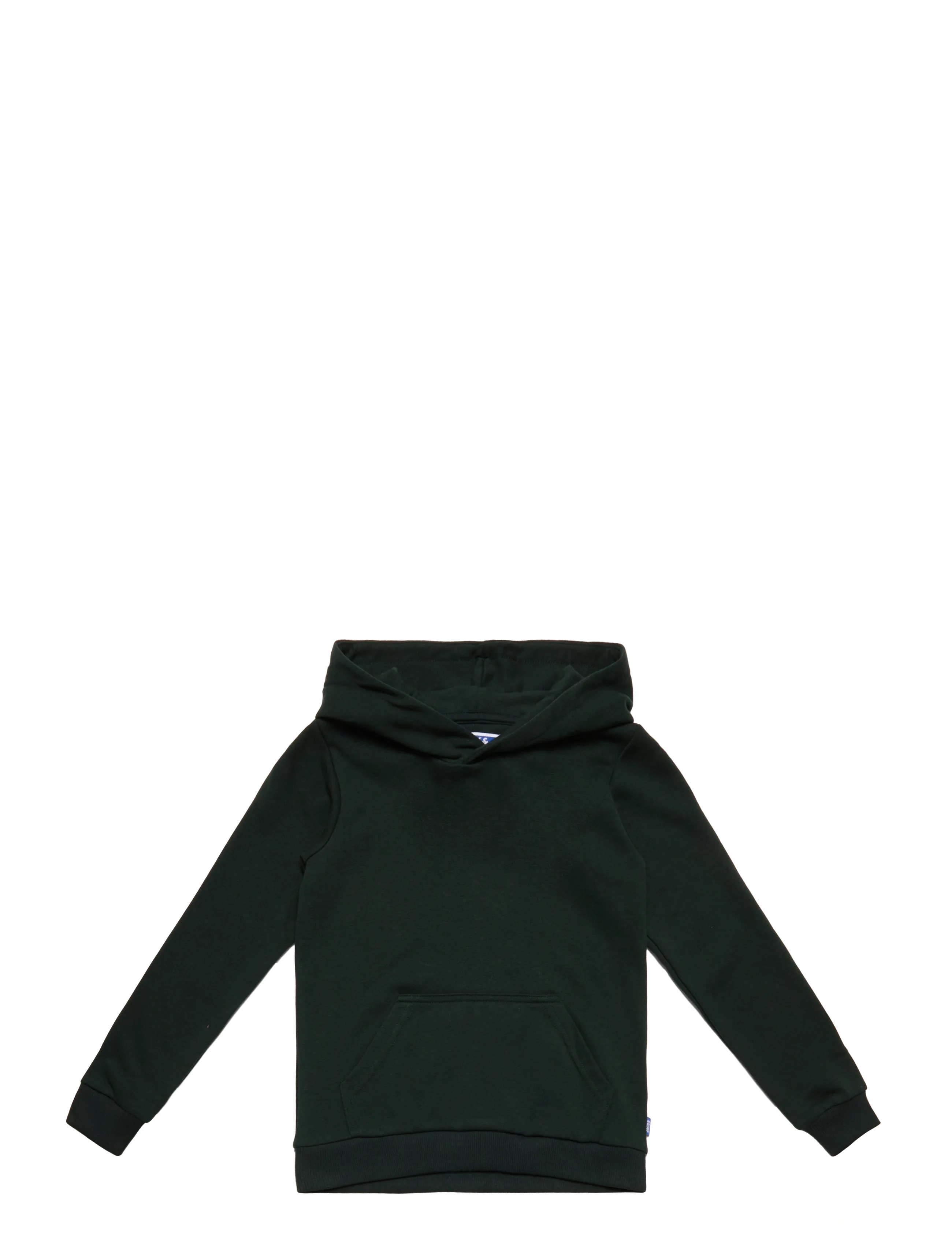 Jack & Jones JJEBRADLEY SWEAT HOOD NOOS JNR - Jack & Jones Junior - SCARAB / green