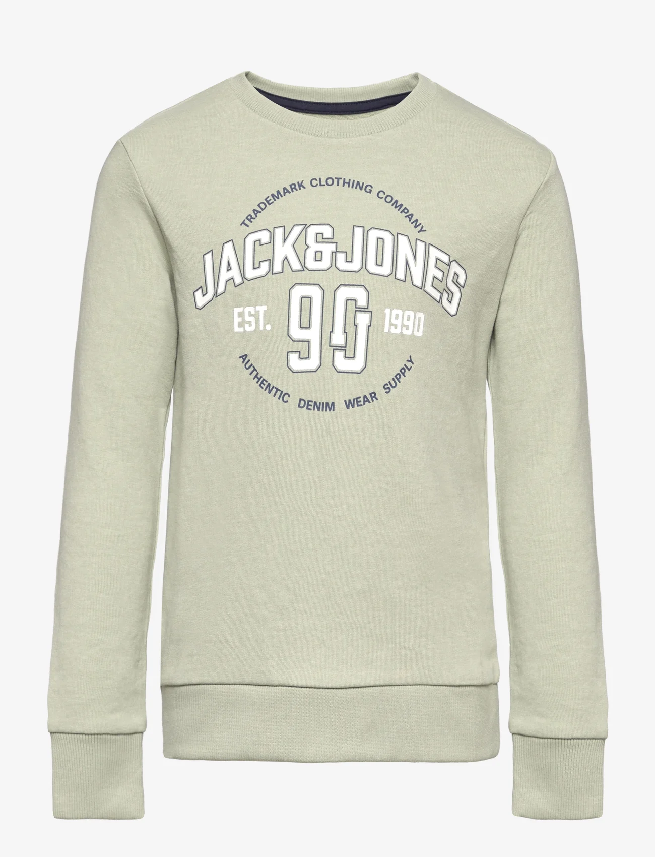 Jack & Jones - JJMINDS SWEAT CREW NECK JNR - sweatshirts - desert sage - 0
