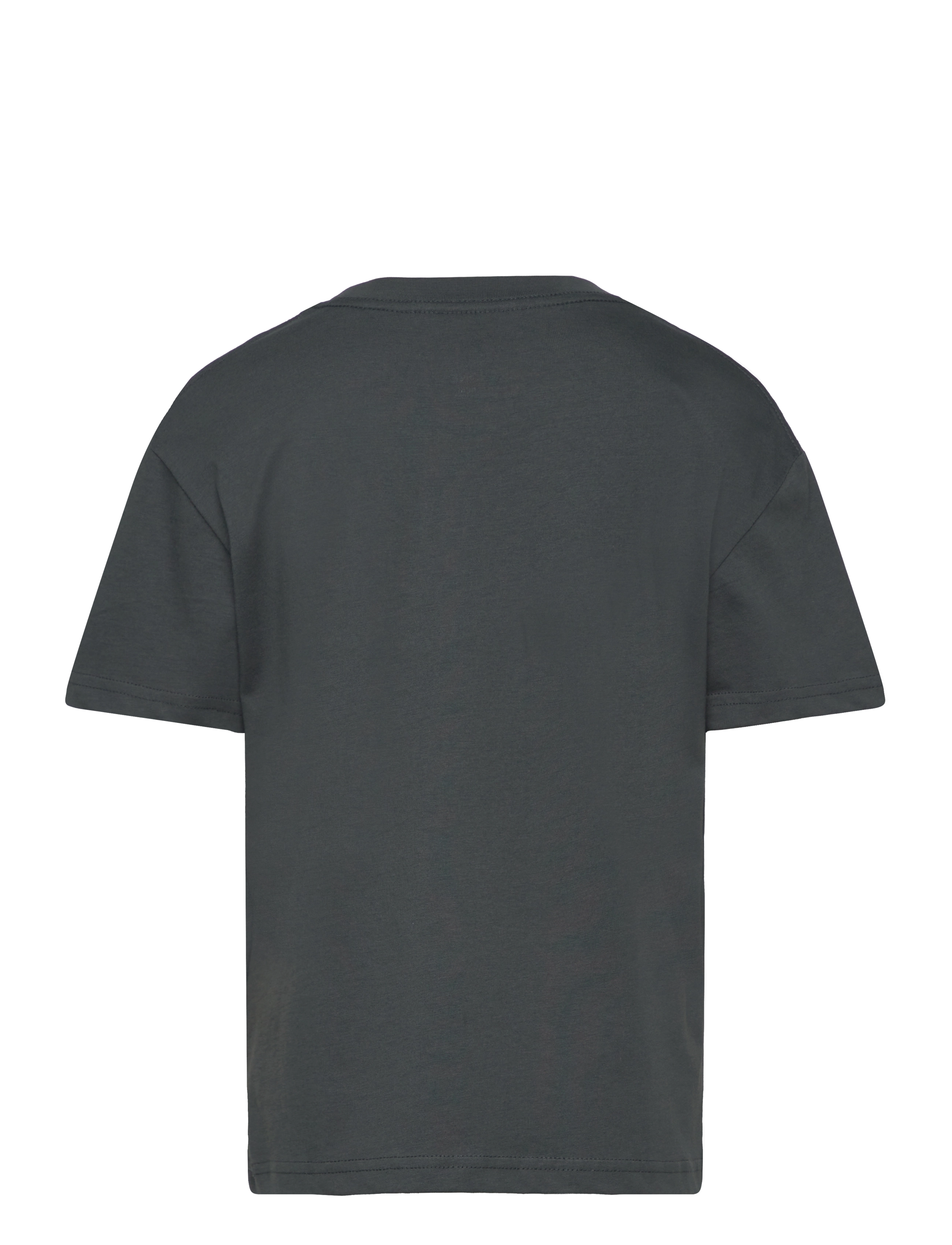 Jack & Jones - JORVESTERBRO TEE SS CREW NECK NOOS MNI - forest river - 1