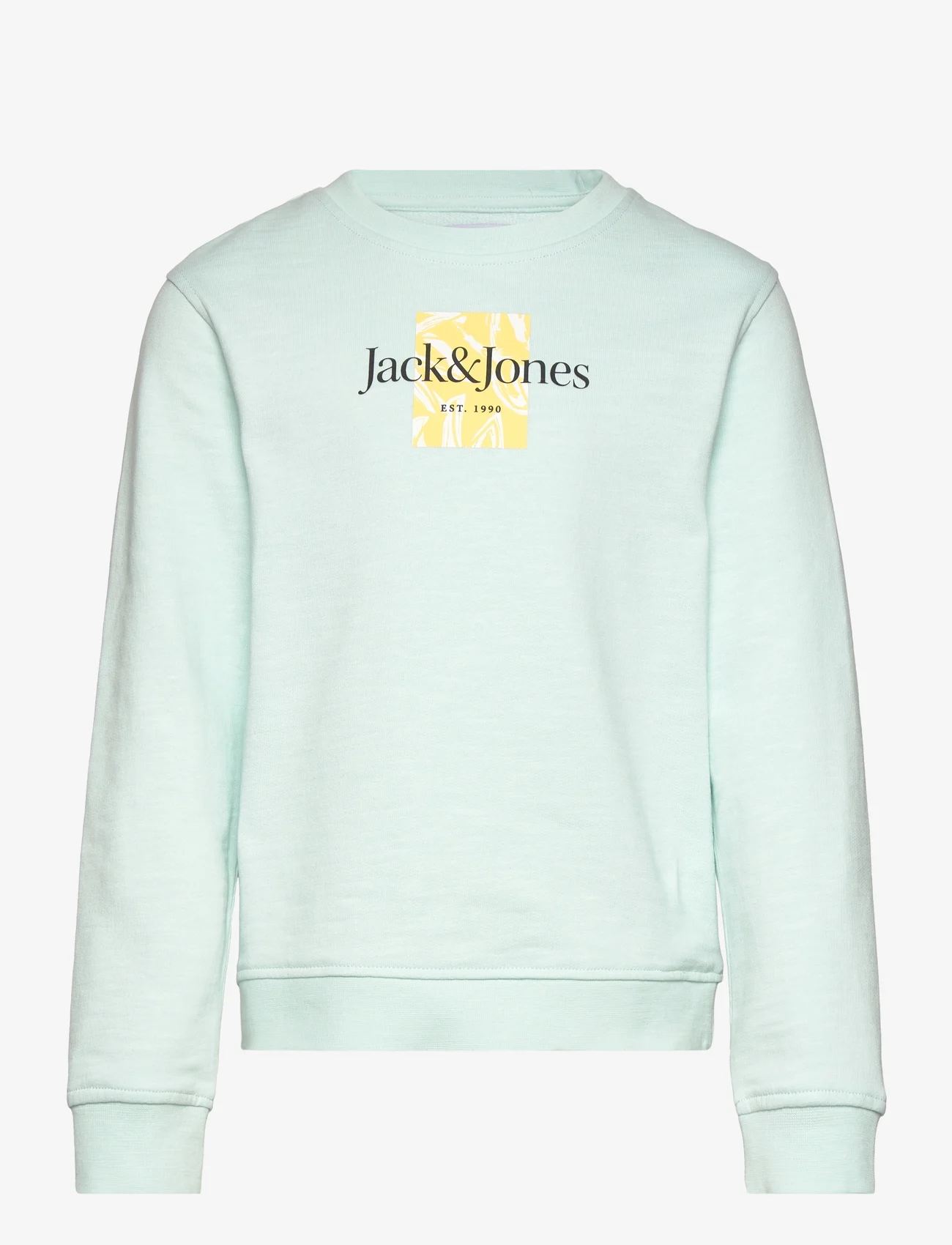 Jack & Jones - JORLAFAYETTE BRANDING SWEAT CREW MNI - sweatshirts - skylight - 0
