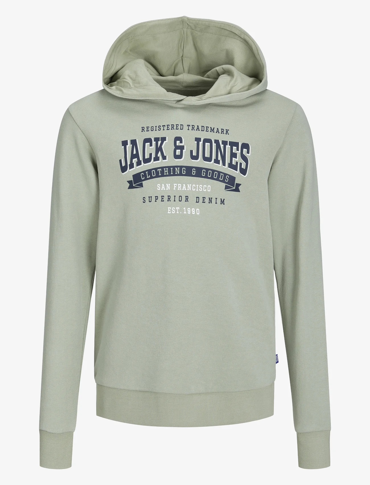 Jack & Jones - JJELOGO SWEAT HOOD 2 COL 23/24 SN MNI - hættetrøjer - desert sage - 0