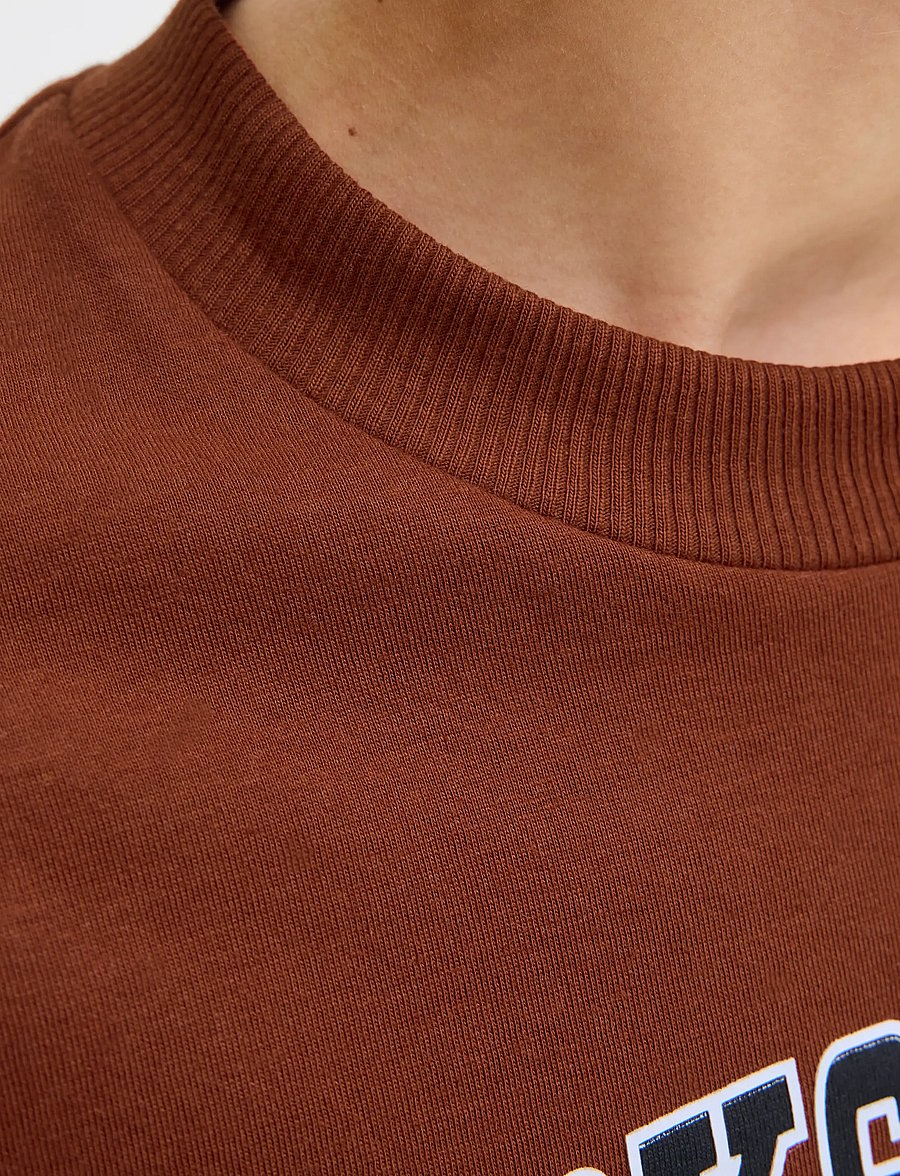 Jack & Jones - JJECALEB VARSITY TEE SS O-NECK NOOS JNR - kortærmede t-shirts - burnt henna - 3