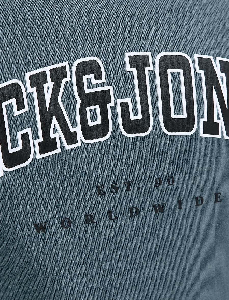 Jack & Jones - JJECALEB VARSITY TEE SS O-NECK NOOS JNR - kurzärmelige - stormy weather - 3