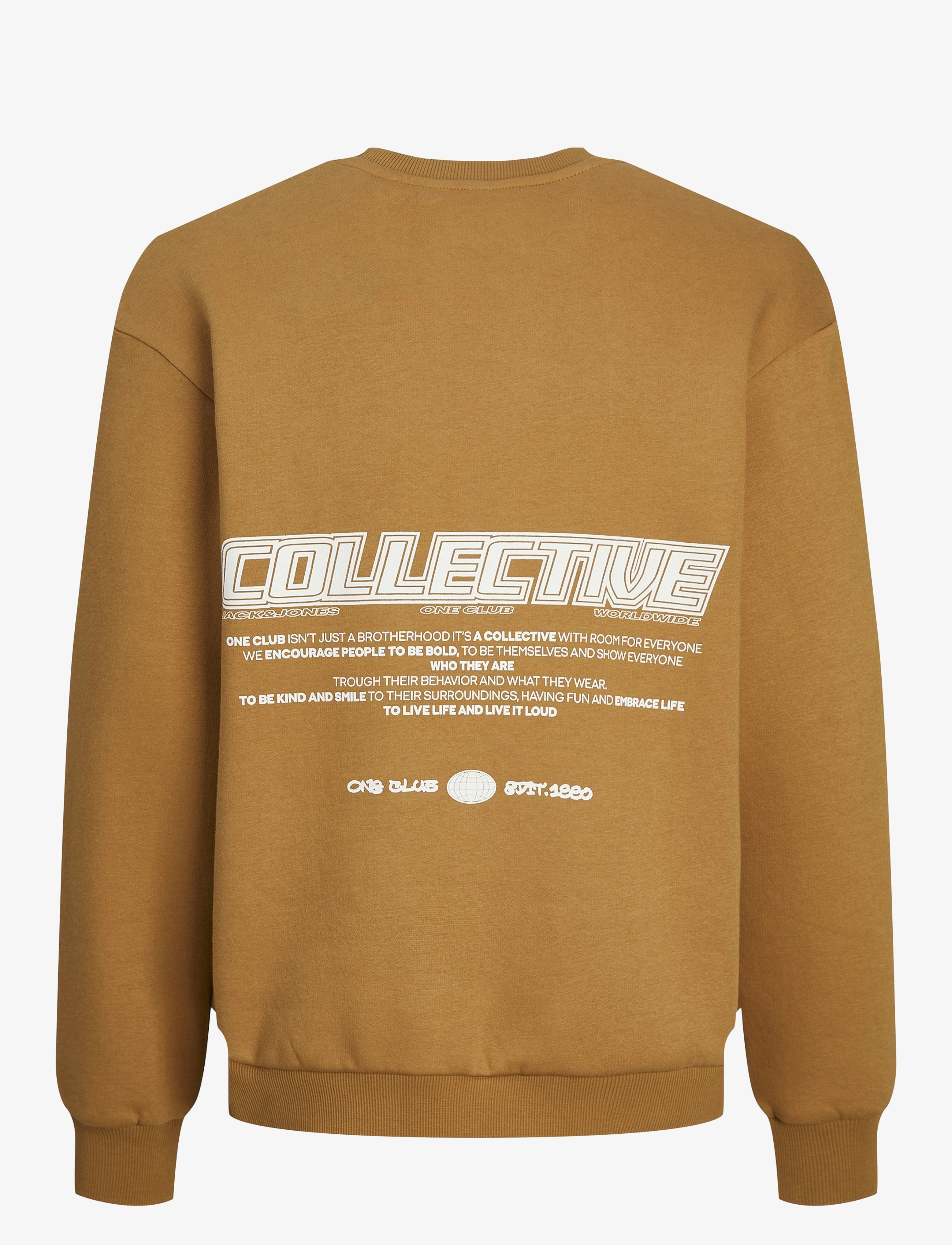 Jack & Jones - JORCOLLECT EDT LOOSE SWEAT CREW JNR - bone brown - 2
