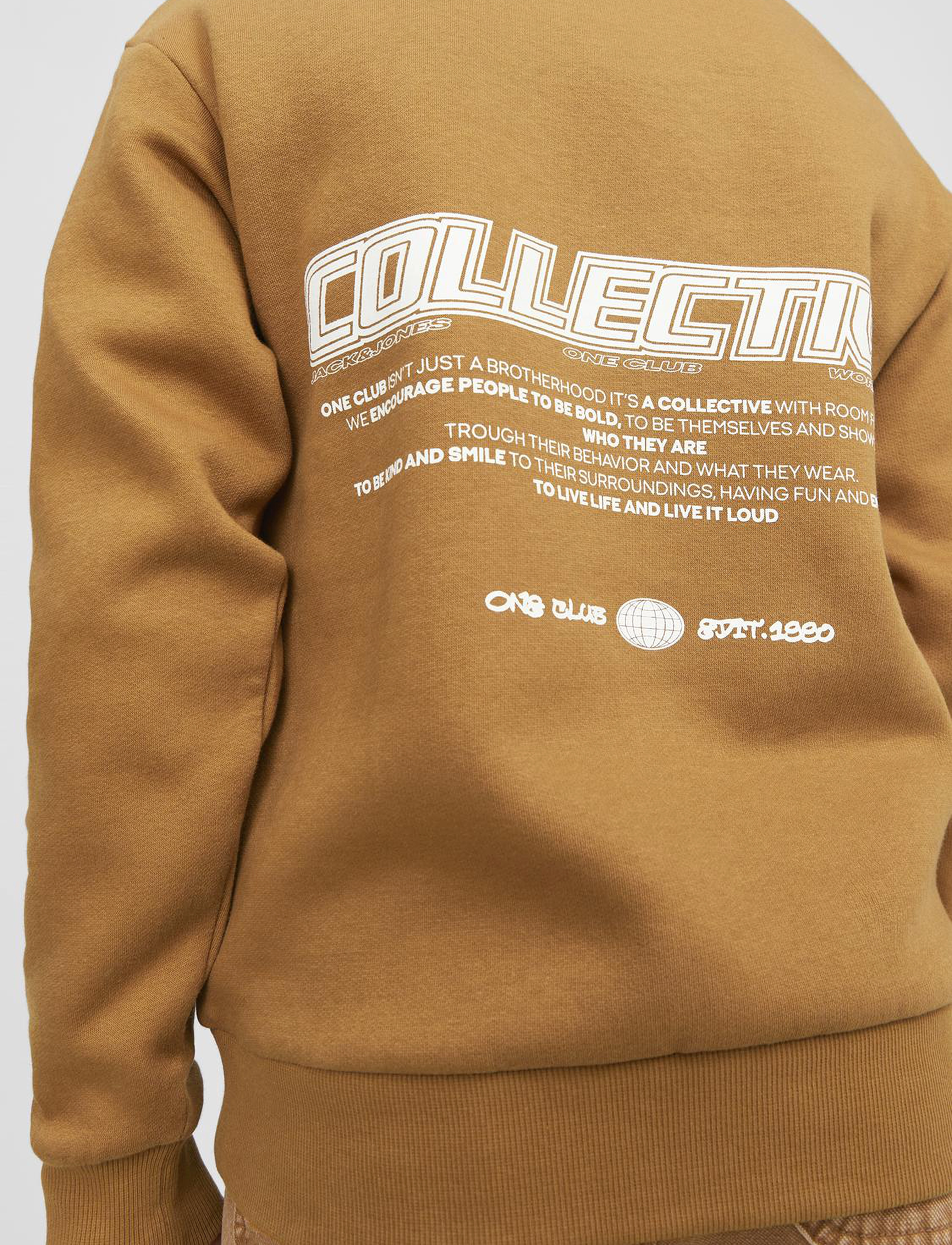 Jack & Jones - JORCOLLECT EDT LOOSE SWEAT CREW JNR - bone brown - 5