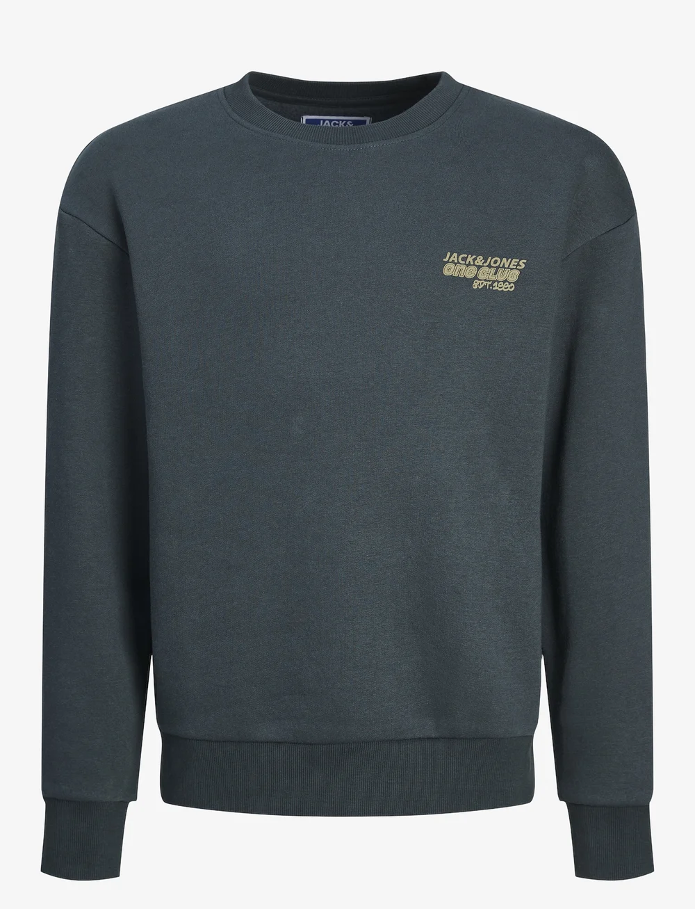 Jack & Jones - JORCOLLECT EDT LOOSE SWEAT CREW JNR - sweatshirts - magical forest - 1