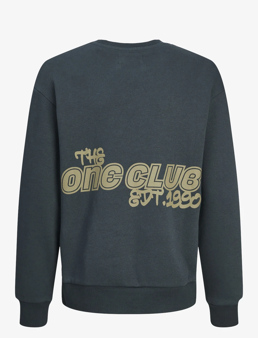 Jack & Jones - JORCOLLECT EDT LOOSE SWEAT CREW JNR - sweatshirts - magical forest - 2