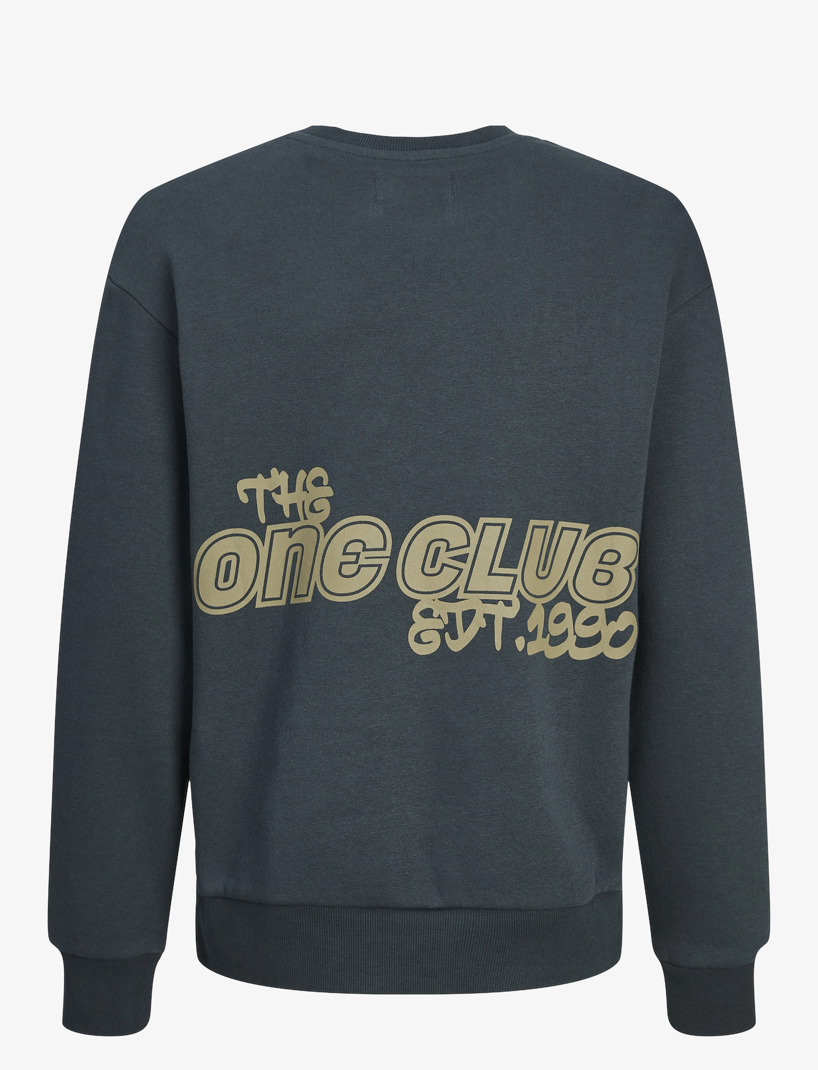 Jack & Jones - JORCOLLECT EDT LOOSE SWEAT CREW JNR - magical forest - 2