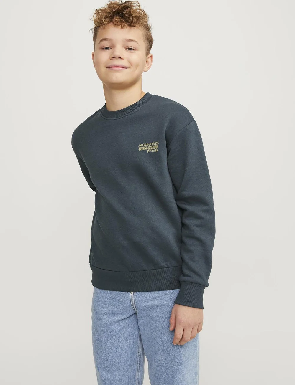 Jack & Jones - JORCOLLECT EDT LOOSE SWEAT CREW JNR - sweatshirts - magical forest - 0