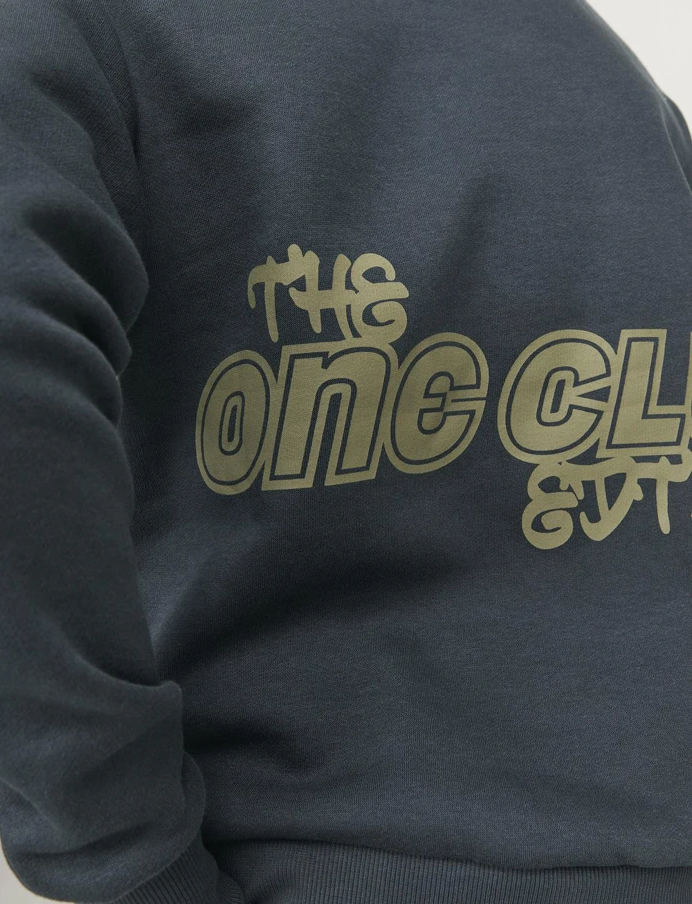 Jack & Jones - JORCOLLECT EDT LOOSE SWEAT CREW JNR - sweatshirts - magical forest - 5