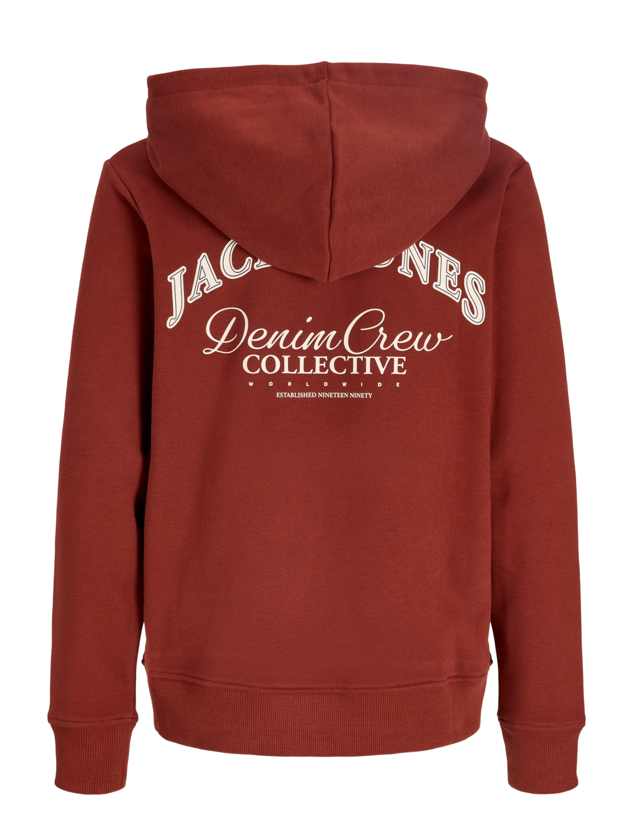 Jack & Jones - JJEBRANDES BACKP RELAXED SWEAT H SN JNR - pulls à capuche - fired brick - 2