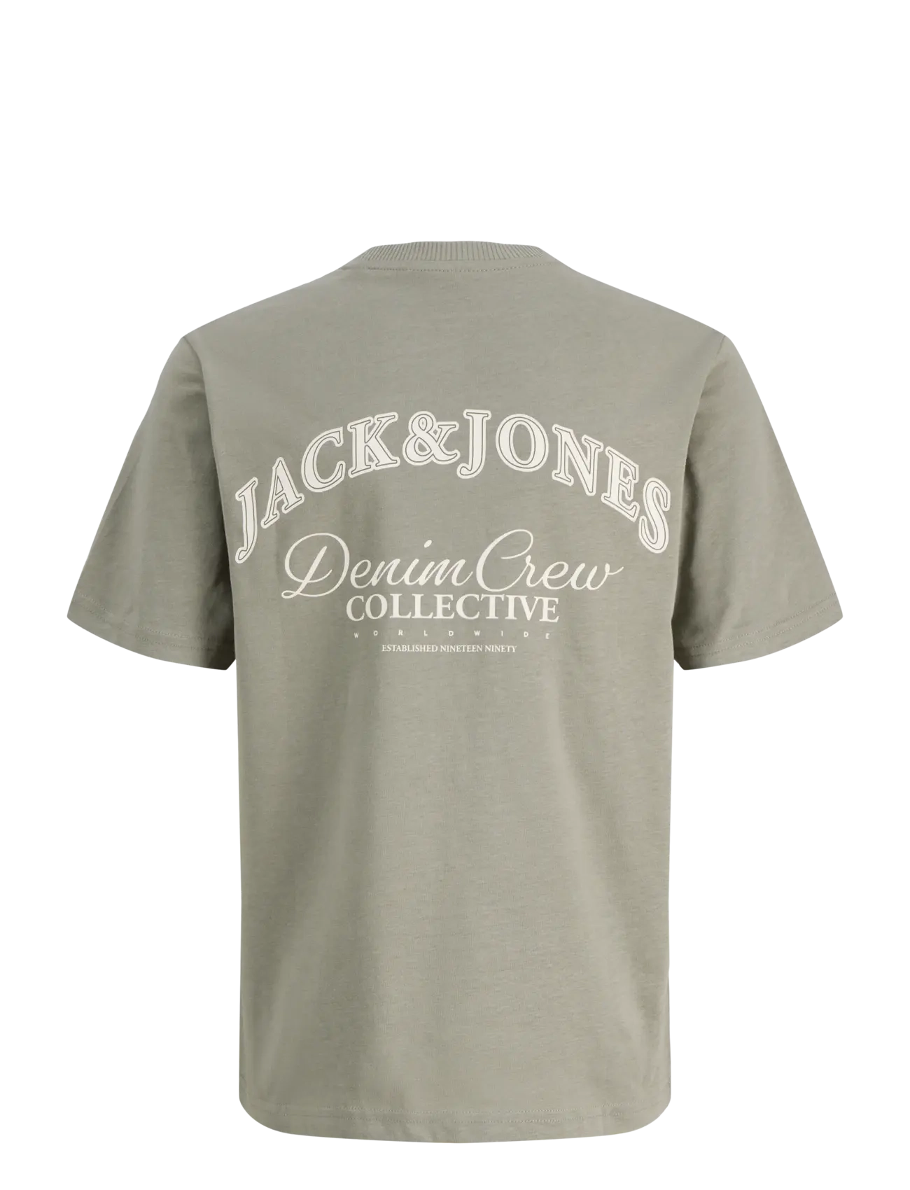 Jack & Jones - JJEBRANDES BACKP RELAXED TEE SS SN JNR - korte mouwen - vetiver - 2