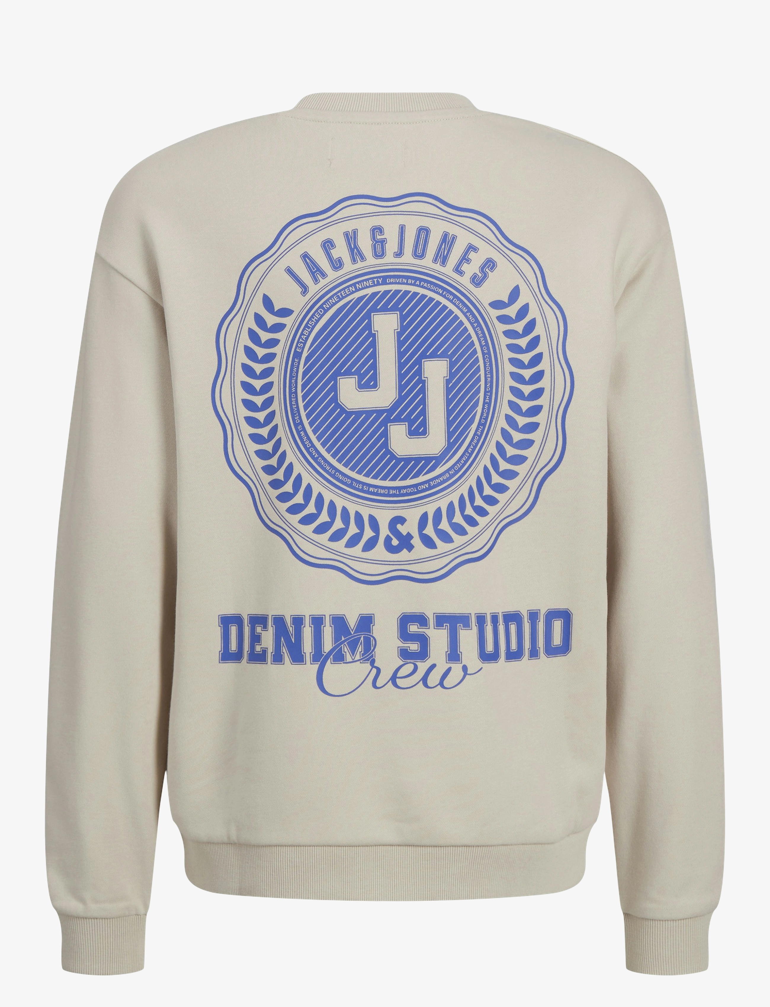 Jack & Jones - JJSTYD LOOSE GRAPHIC SWEAT C.NECK LN JNR - moonbeam - 1