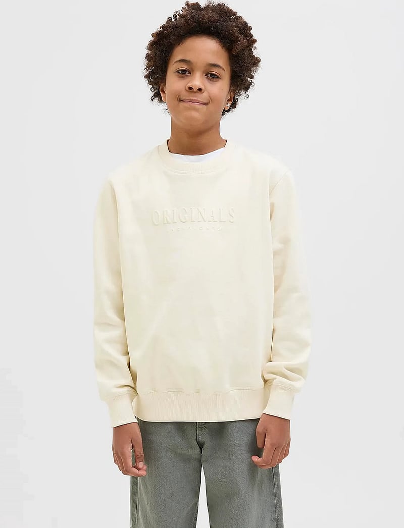 Jack & Jones - JORFREDERIKSBERG SWEAT C.NECK NOOS JNR - dressipluusid - antique white - 0
