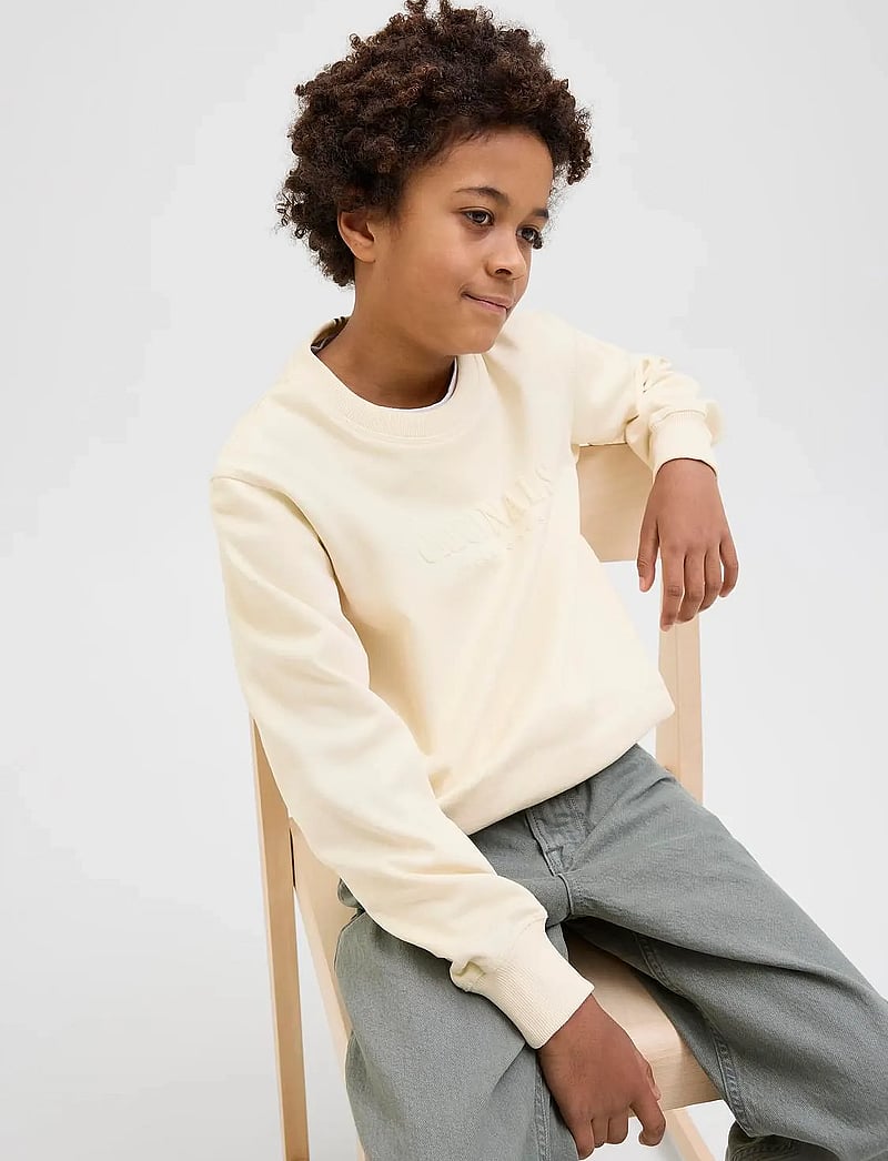 Jack & Jones - JORFREDERIKSBERG SWEAT C.NECK NOOS JNR - dressipluusid - antique white - 2