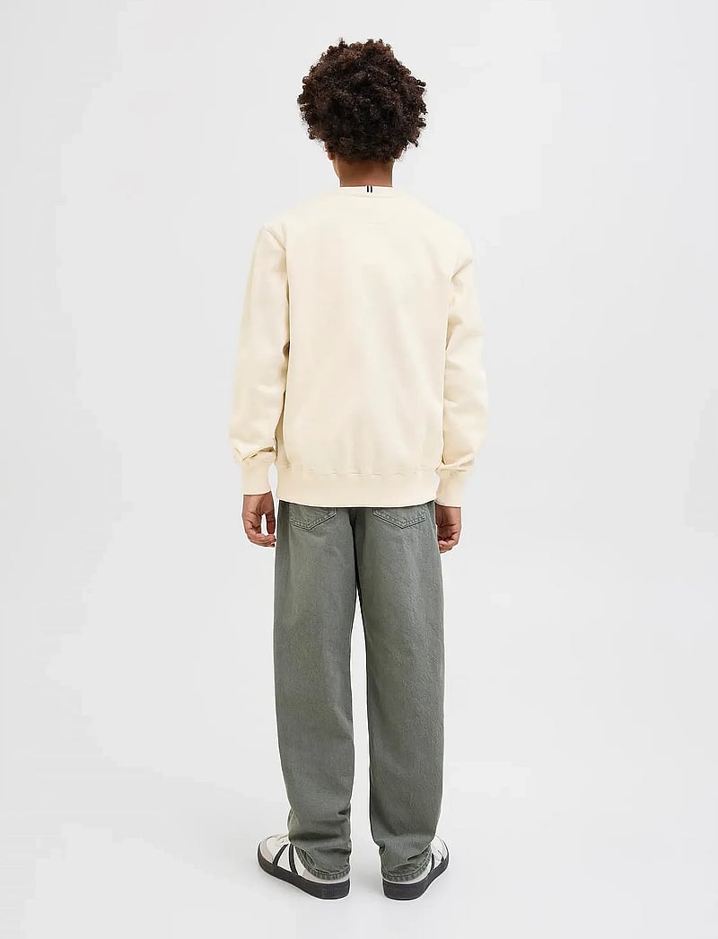 Jack & Jones - JORFREDERIKSBERG SWEAT C.NECK NOOS JNR - dressipluusid - antique white - 5