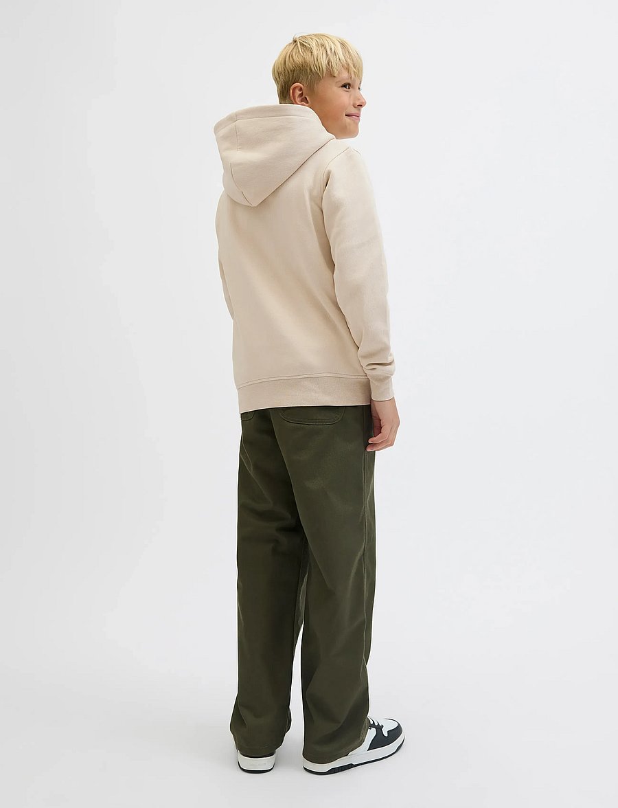 Jack & Jones - JJESOHO SWEAT HOOD NOOS JNR - kapuzenpullover - moonbeam - 2