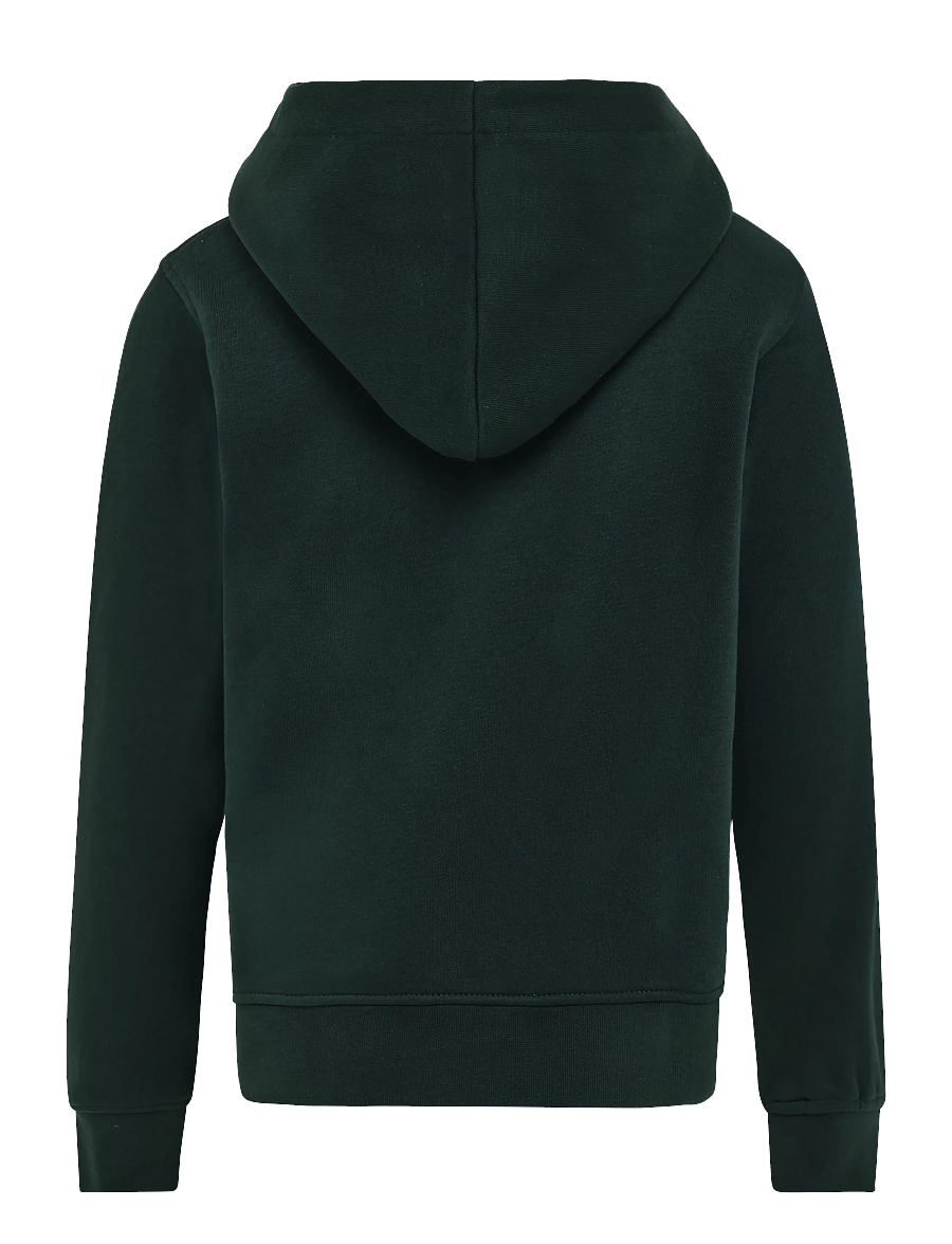 Jack & Jones - JJESOHO SWEAT HOOD NOOS JNR - hættetrøjer - scarab - 2