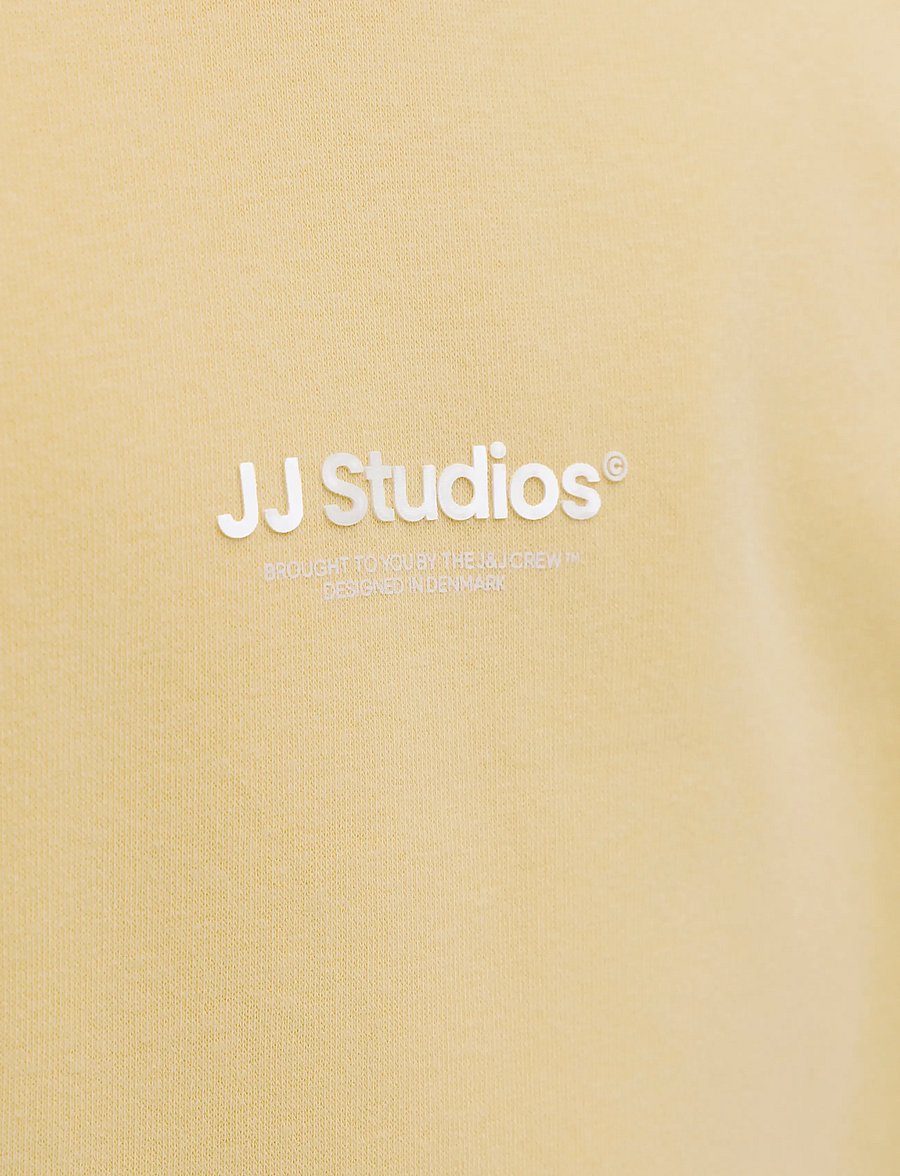 Jack & Jones - JJESOHO SWEAT HOOD NOOS JNR - kapuzenpullover - sunlight - 4