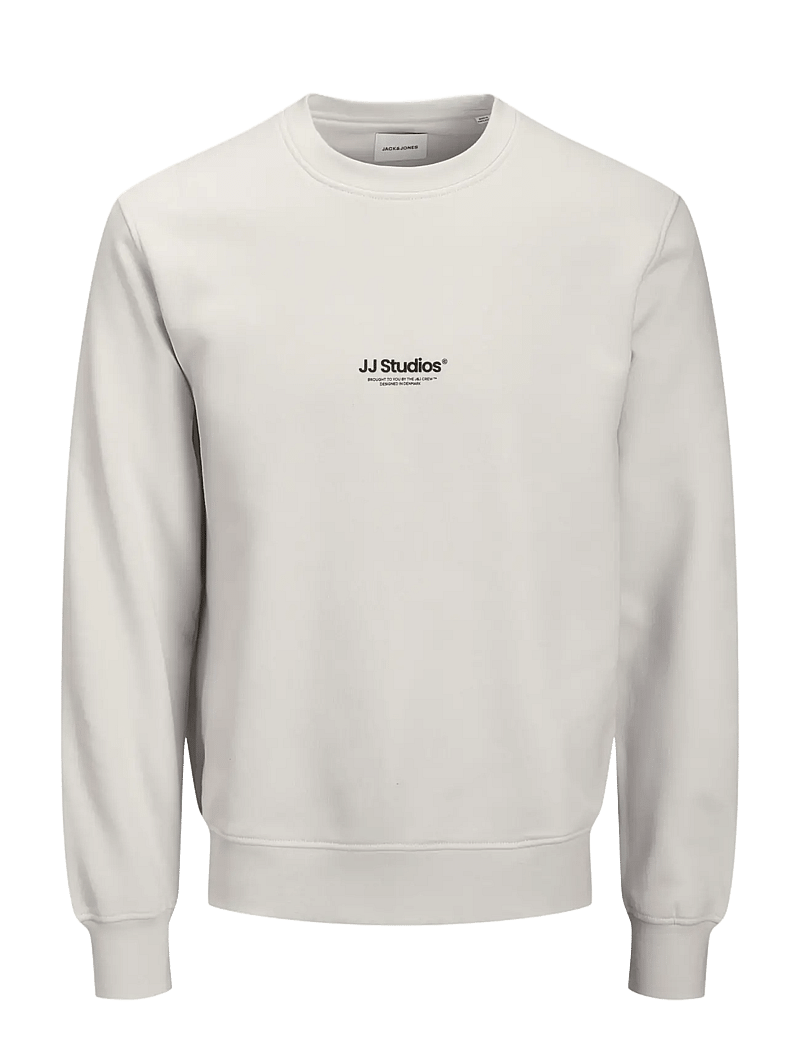 Jack & Jones - JJESOHO SWEAT CREW NECK SN JNR - sweatshirts - moonbeam - 1