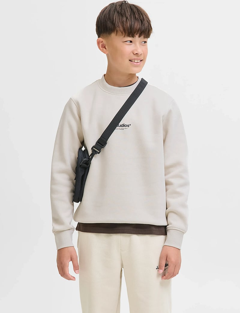 Jack & Jones - JJESOHO SWEAT CREW NECK SN JNR - sweatshirts - moonbeam - 0