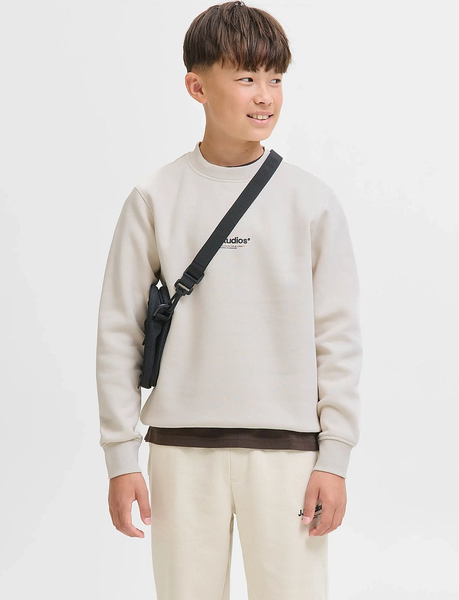 Jack & Jones - JJESOHO SWEAT CREW NECK SN JNR - sweatshirts - moonbeam - 0