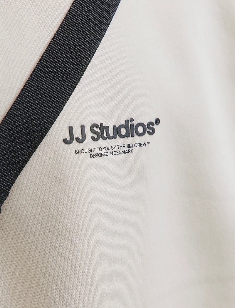 Jack & Jones - JJESOHO SWEAT CREW NECK SN JNR - sweatshirts - moonbeam - 3