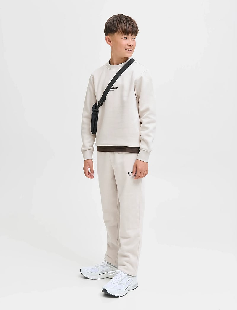 Jack & Jones - JJESOHO SWEAT CREW NECK SN JNR - sweatshirts - moonbeam - 5