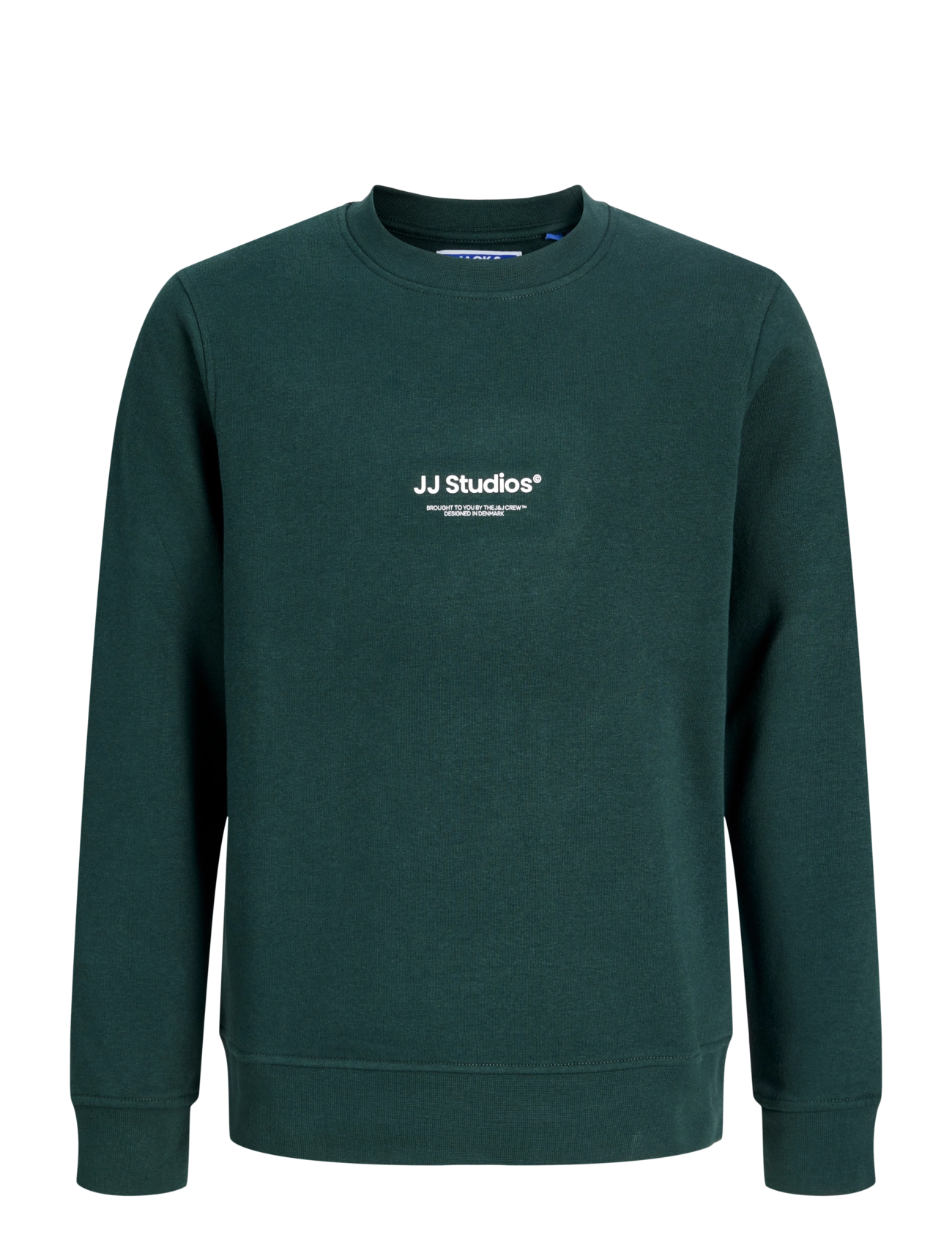 Jack & Jones JJESOHO SWEAT CREW NECK SN JNR - Kläder - SCARAB / green