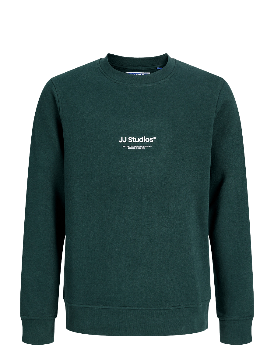 Jack & Jones - JJESOHO SWEAT CREW NECK SN JNR - sweatshirts - scarab - 1