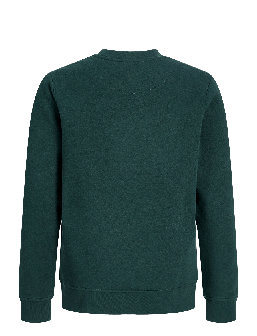 Jack & Jones - JJESOHO SWEAT CREW NECK SN JNR - sweatshirts - scarab - 2