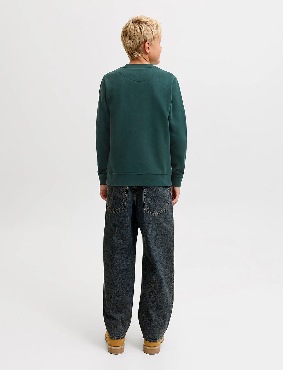 Jack & Jones - JJESOHO SWEAT CREW NECK SN JNR - sweatshirts - scarab - 3