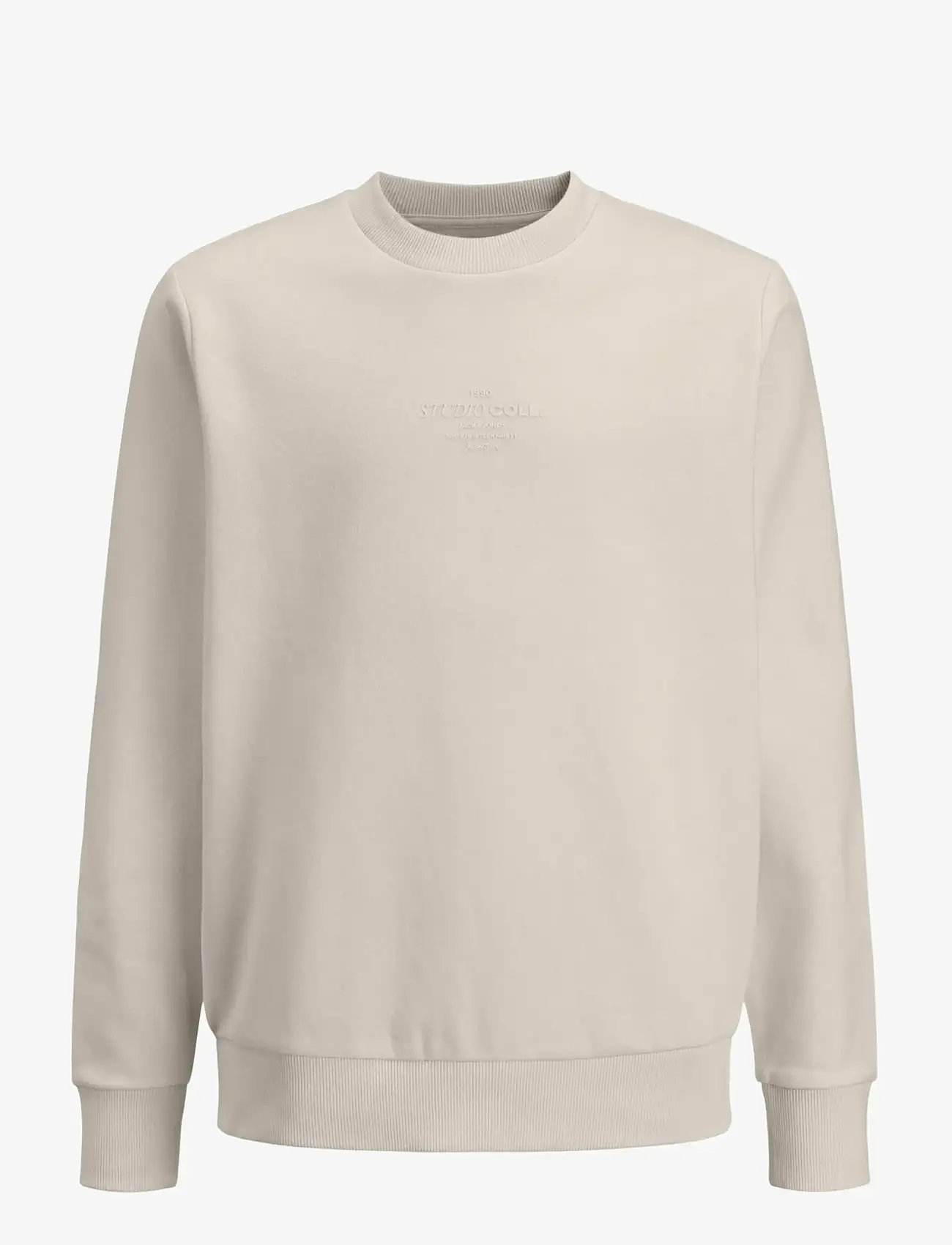 Jack & Jones - JJJIN SWEAT CREW NECK JNR - sweatshirts - moonbeam - 1