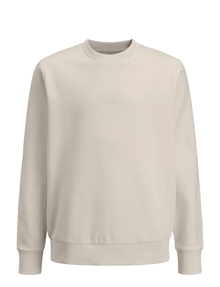 Jack & Jones - JJJIN SWEAT CREW NECK JNR - sweat-shirt - moonbeam - 1