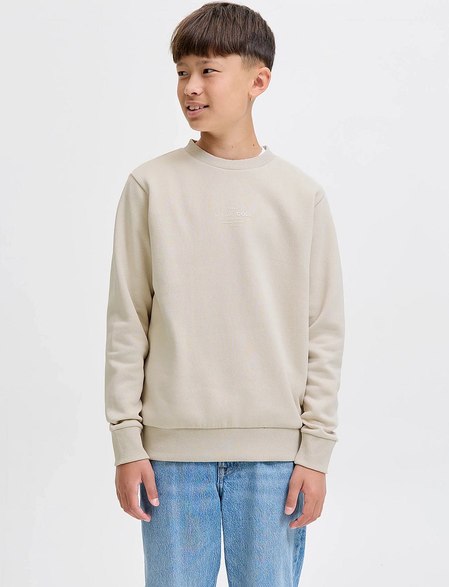 Jack & Jones - JJJIN SWEAT CREW NECK JNR - sweat-shirt - moonbeam - 0