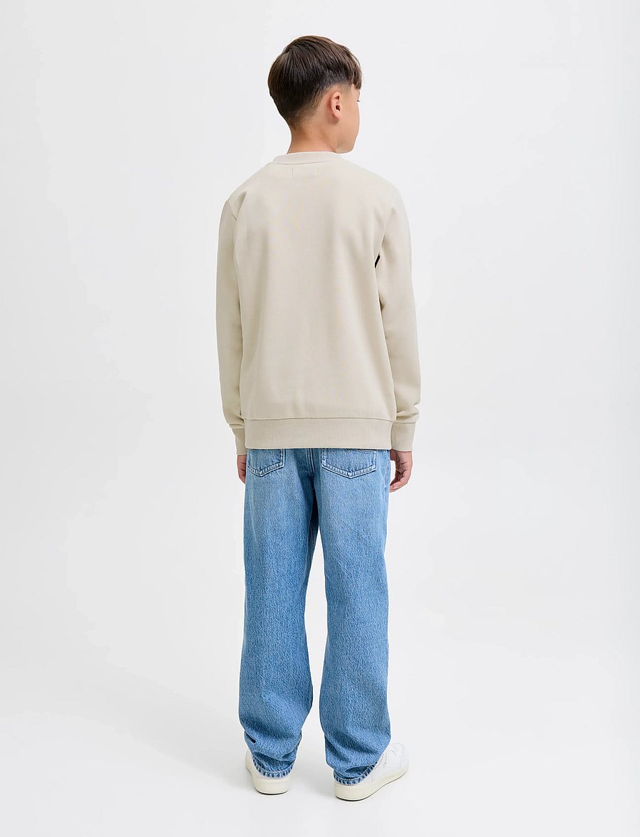 Jack & Jones - JJJIN SWEAT CREW NECK JNR - sweat-shirt - moonbeam - 2