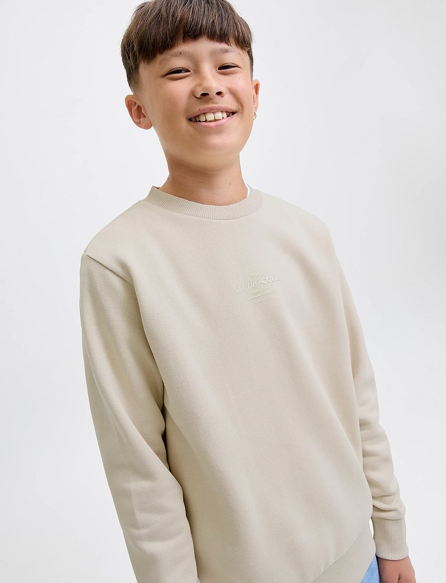 Jack & Jones - JJJIN SWEAT CREW NECK JNR - sweat-shirt - moonbeam - 3
