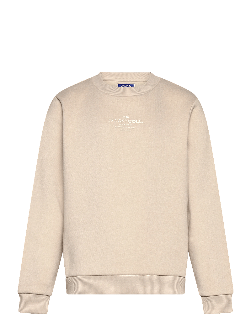Jack & Jones - JJJIN SWEAT CREW NECK MNI - sweatshirts - moonbeam - 0