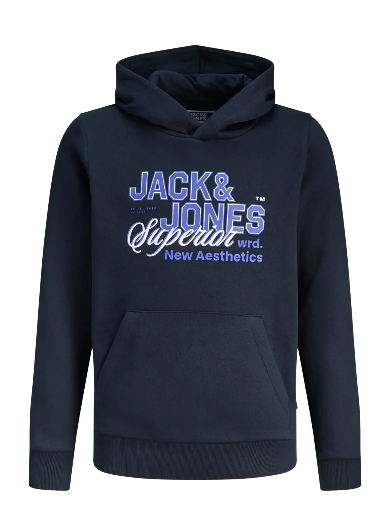 Jack & Jones JJELOGO SWEAT HOOD 2 COL 25/26 NOOS JNR - Overdele - NAVY BLAZER / navy