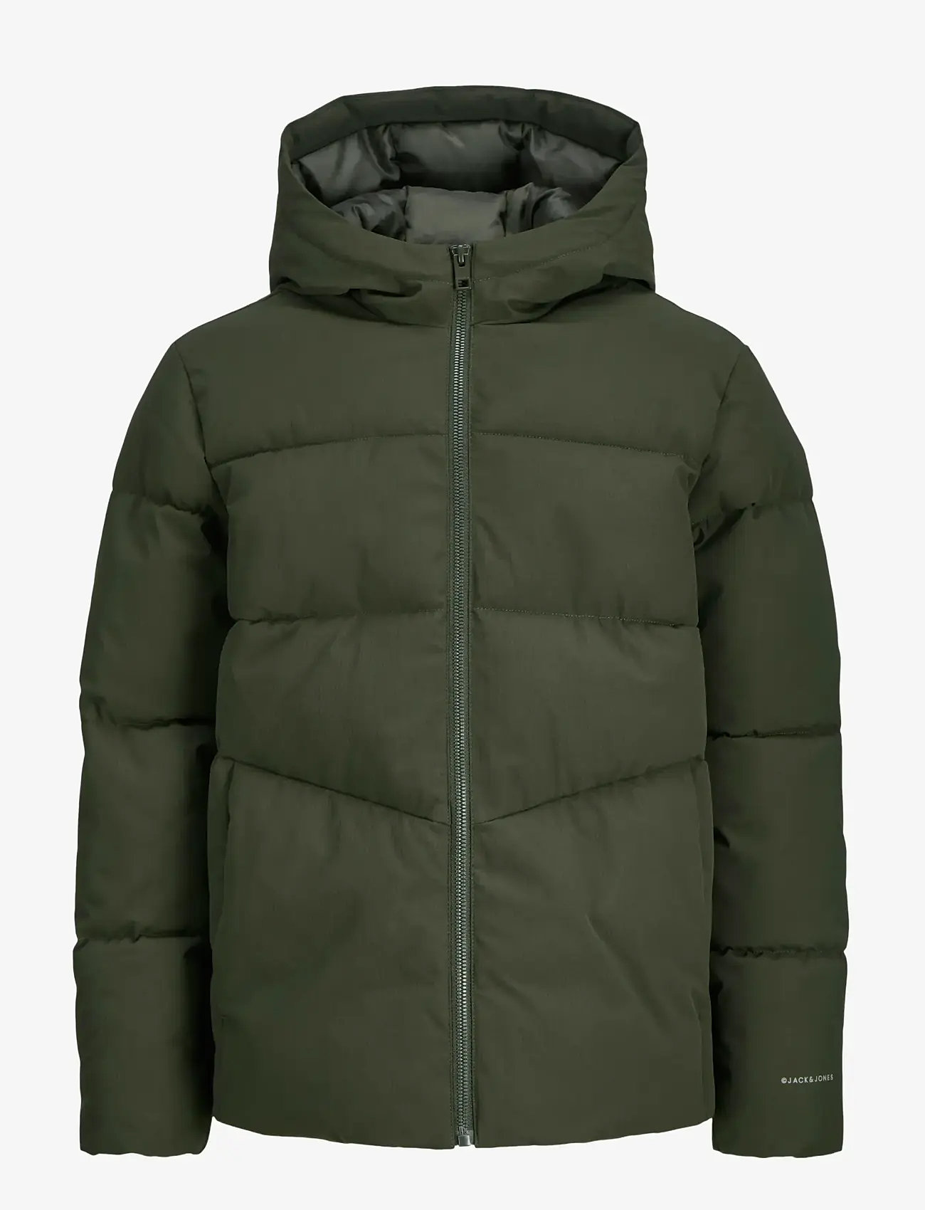 Jack & Jones JJGLOBAL PUFFER JACKET JNR - Daunen-& Steppjacken - ROSIN / green
