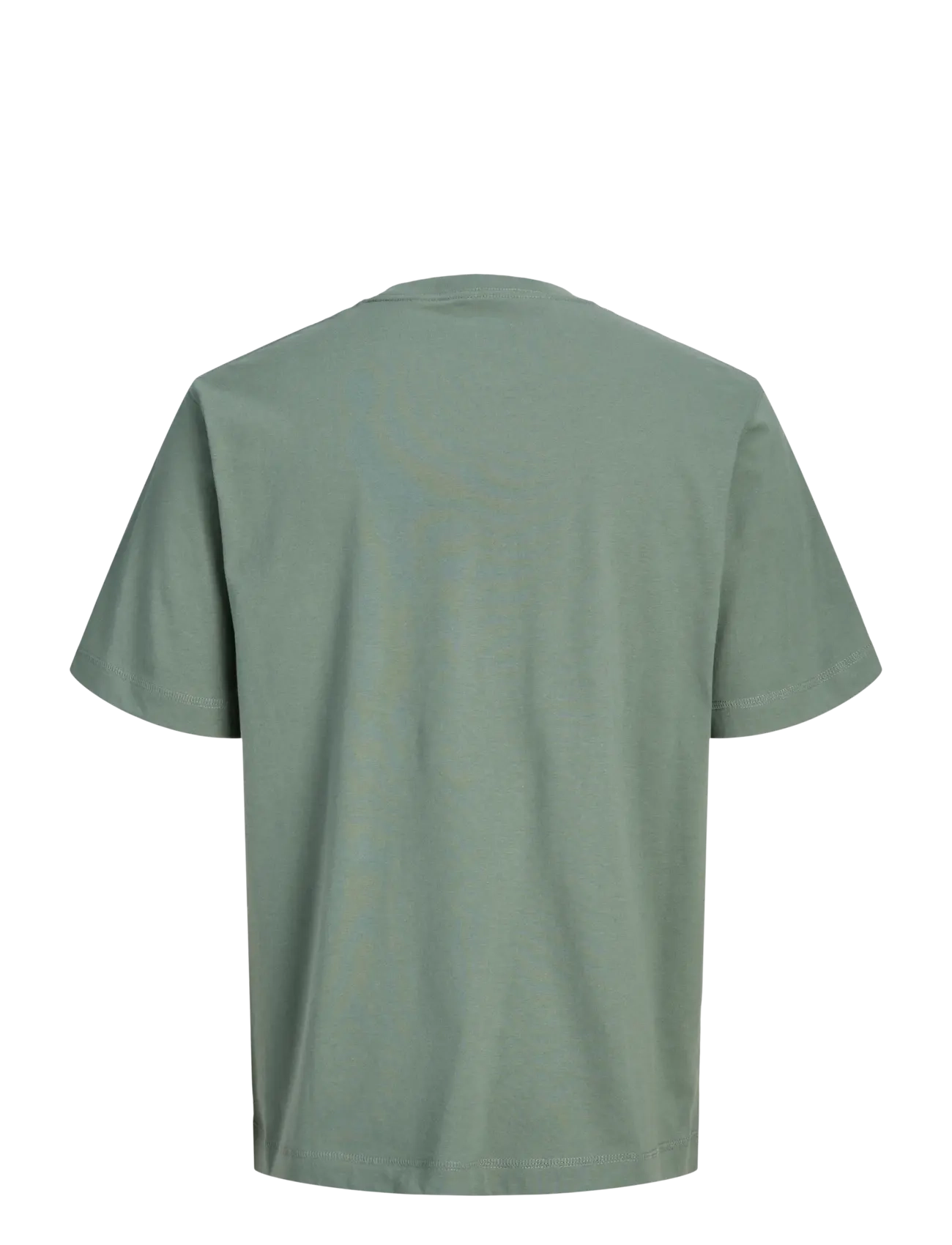 Jack & Jones - JORNORREBRO EMB TEE SS CN NOOS JNR - lühikeste varrukatega t-särgid - laurel wreath - 2