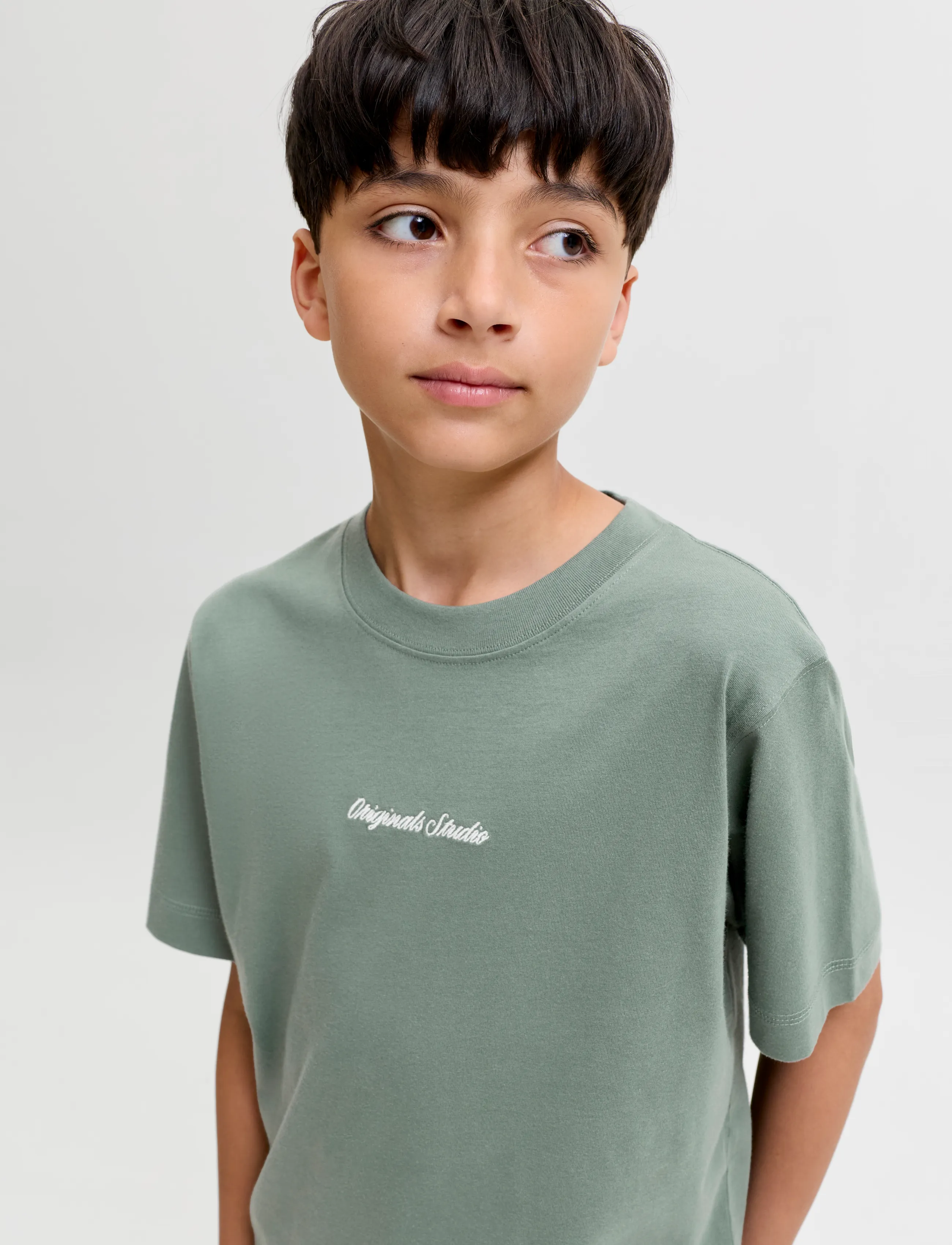 Jack & Jones - JORNORREBRO EMB TEE SS CN NOOS JNR - lühikeste varrukatega t-särgid - laurel wreath - 5