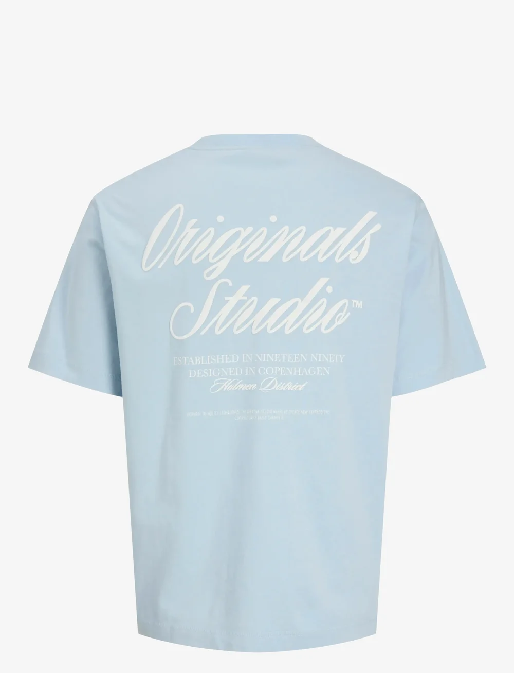Jack & Jones - JORNORREBRO TYPO TEE SS CREW NECK SN JNR - kurzärmelige - skyway - 2