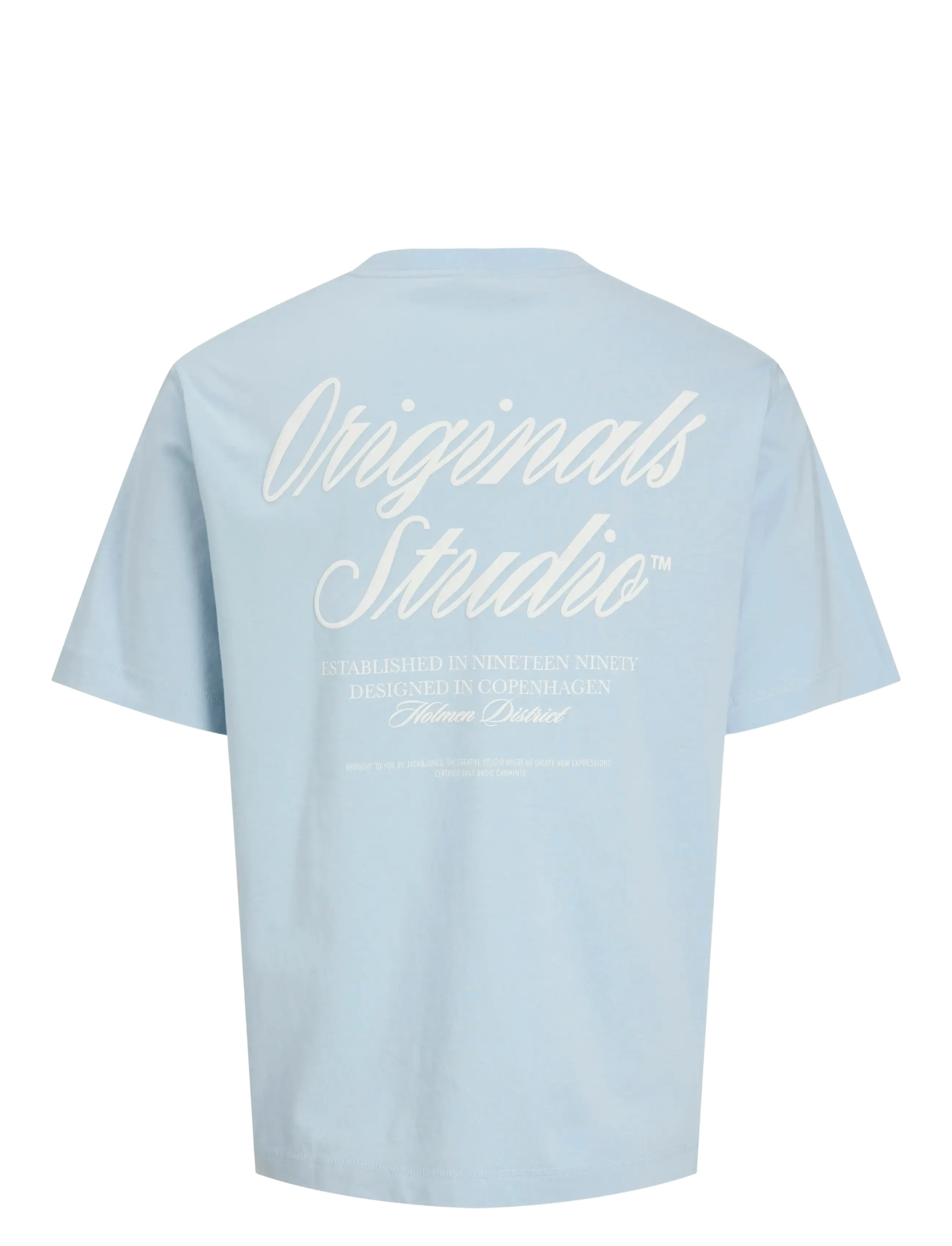 Jack & Jones - JORNORREBRO TYPO TEE SS CREW NECK SN JNR - kurzärmelige - skyway - 2