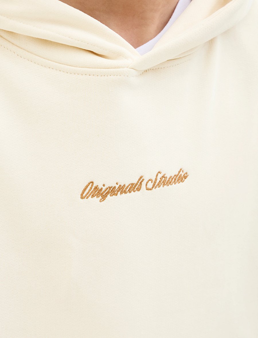 Jack & Jones - JORNORREBRO EMB SWEAT HOOD NOOS JNR - hoodies - antique white - 5